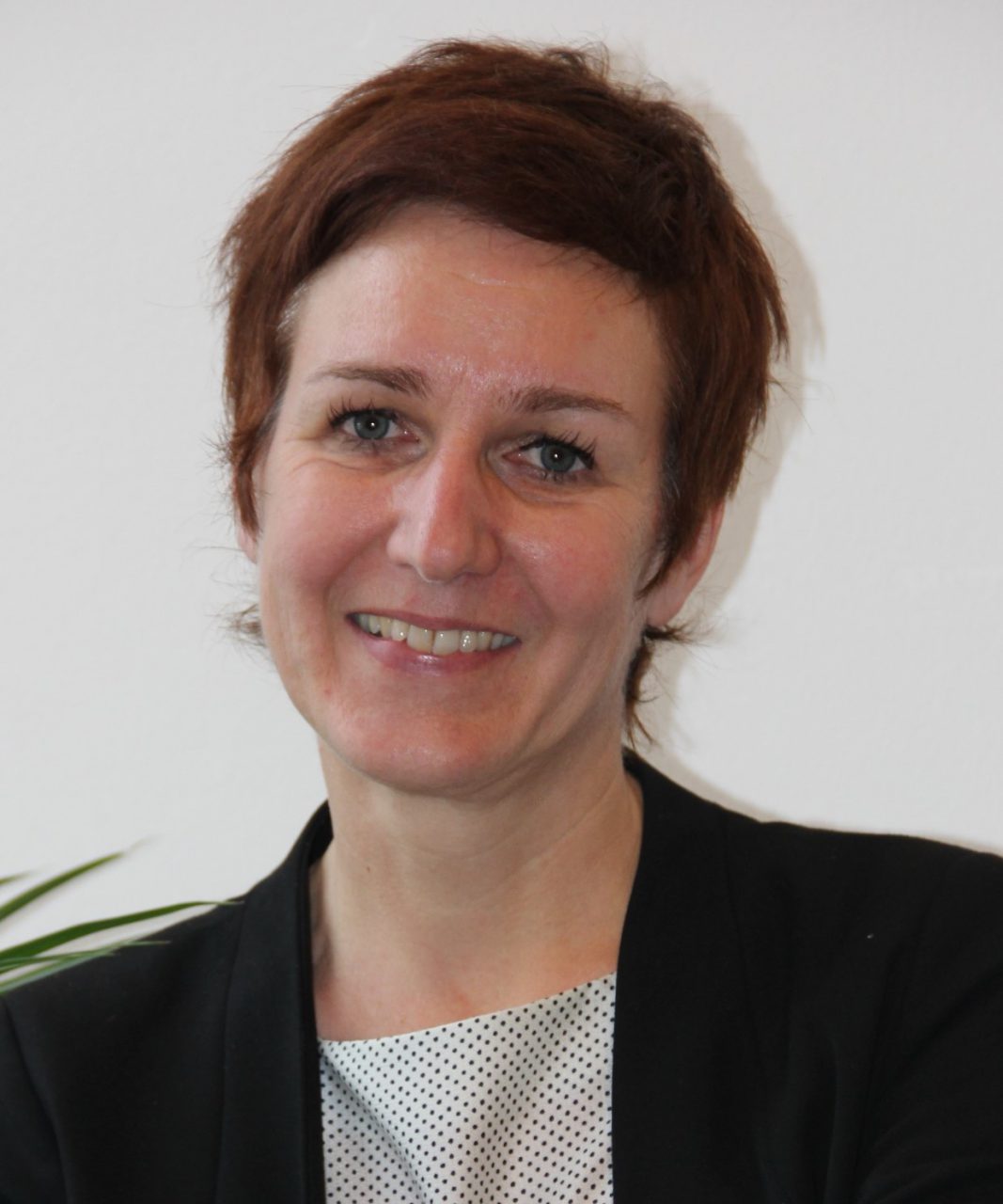 MMag. Dr. Birgit Schrattbauer Universitätsassistentin (Post-Doc) am Fachbereich Arbeits- und Wirtschaftsrecht sowie am Wissensnetzwerk Recht, Wirtschaft und Arbeitswelt an der Paris-Lodron-Universität Salzburg.
