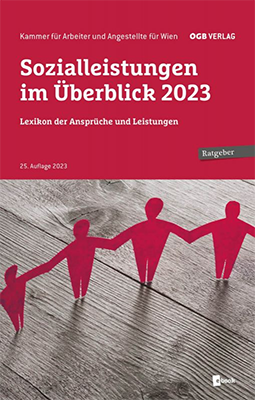 Buch Sozialleistungen